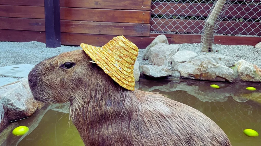 Famous Capybara Names
