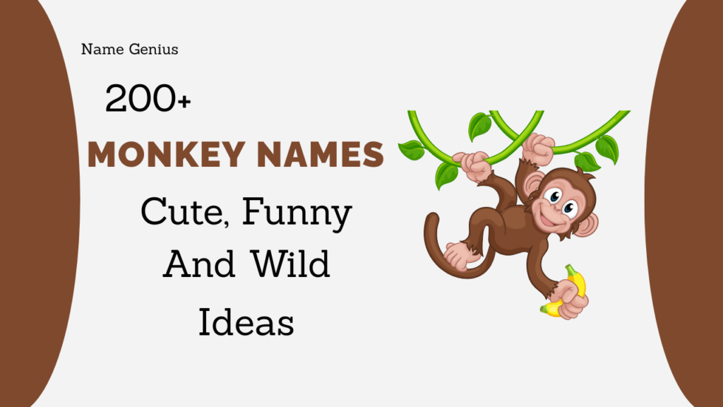 Monkey Names