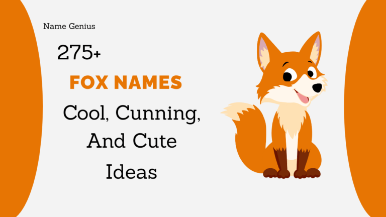Fox Names