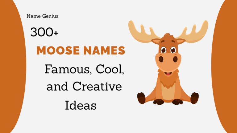 Moose Names