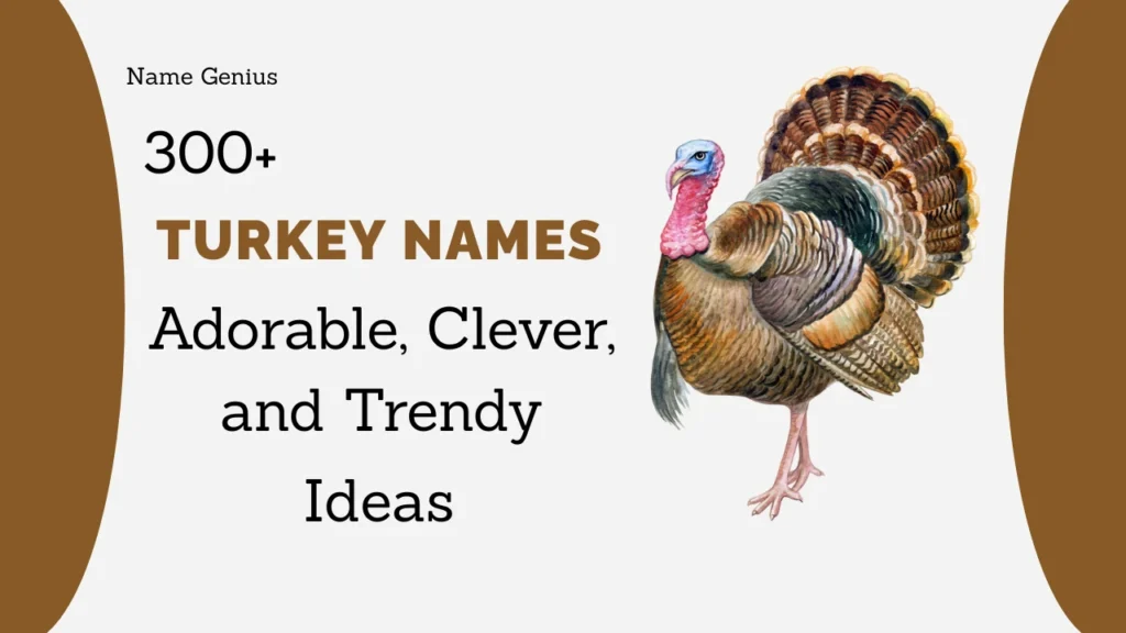 Turkey Names