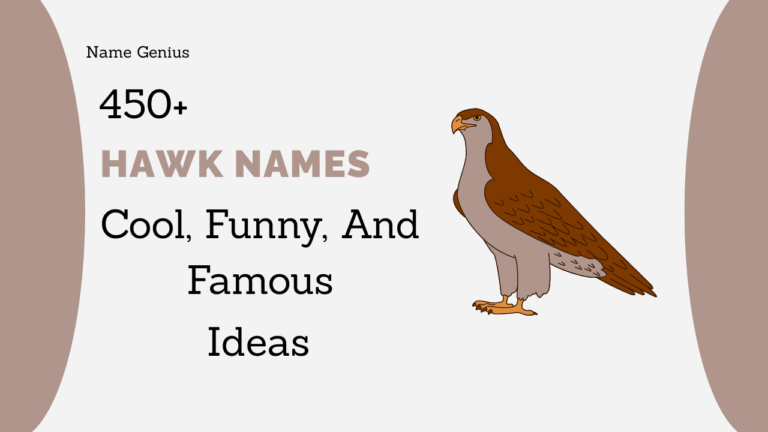 Hawk Names