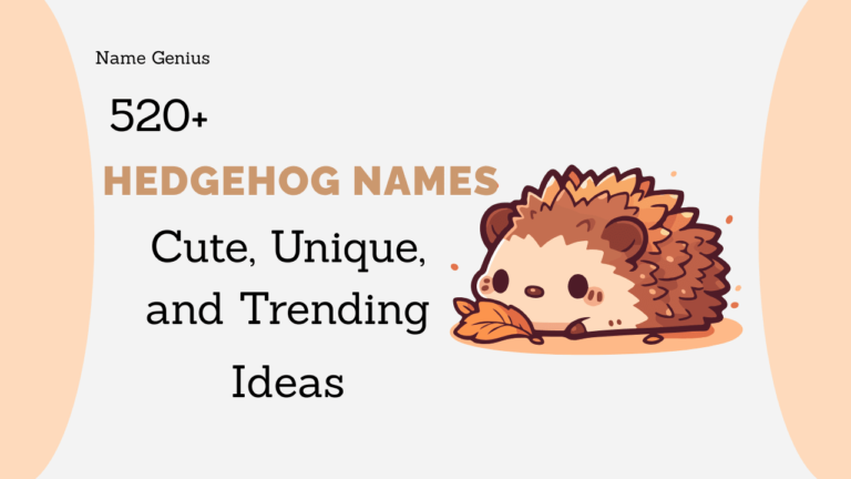Hedgehog Names