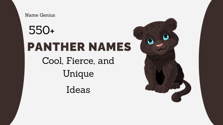 Panther Names