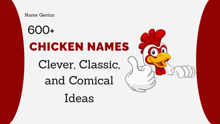 Chicken Names