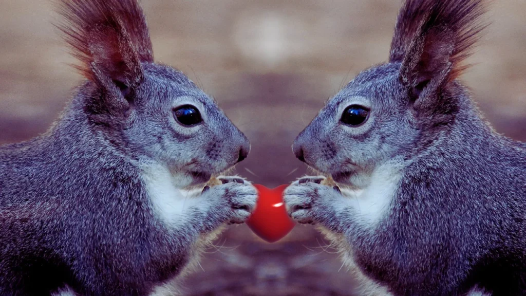 Best Squirrel Names