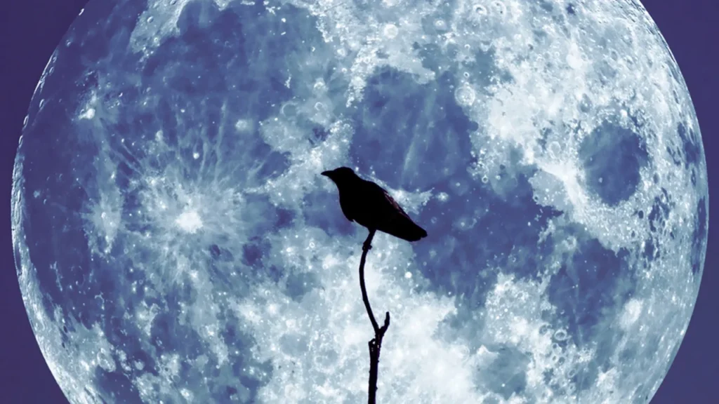 Good Crow Names