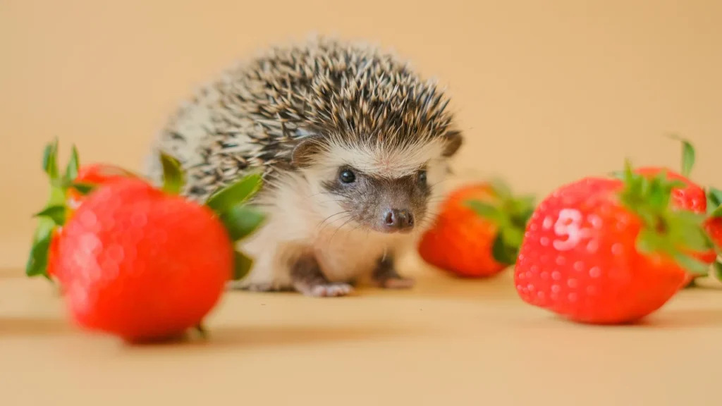 Good Hedgehog Names