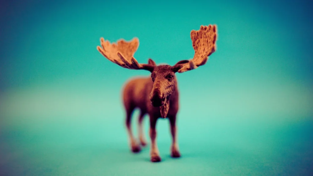 Male Names Moose