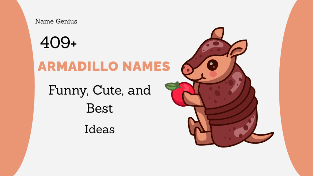 Armadillo Names