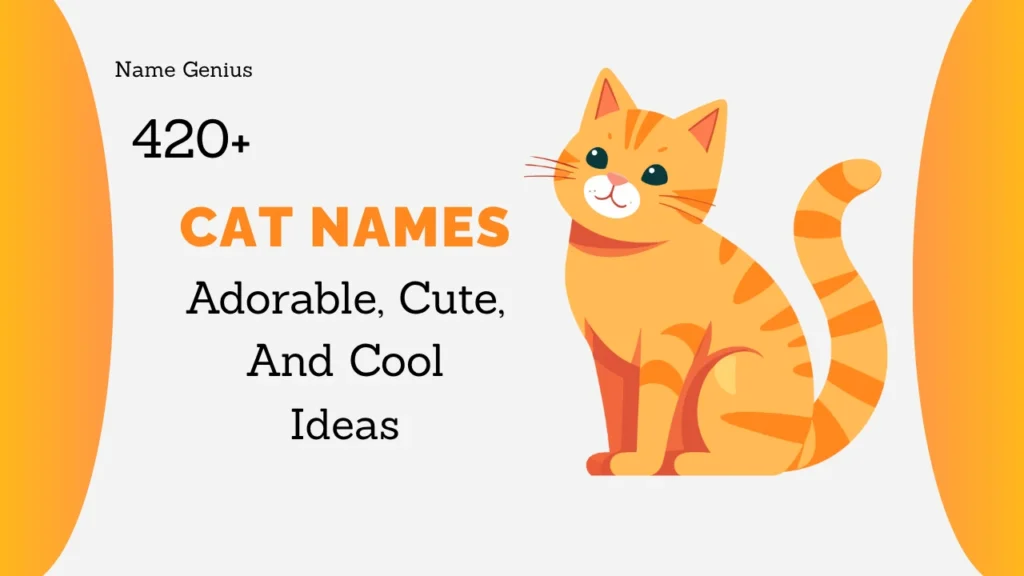 Cat Names