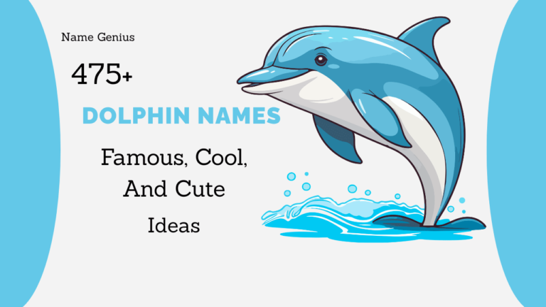 Dolphin Names