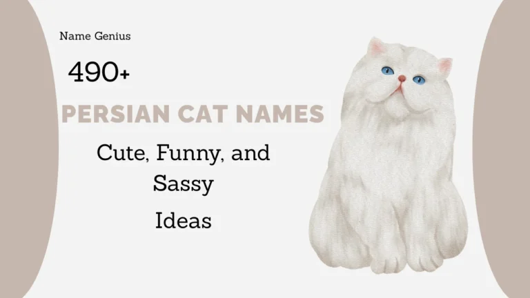 Persian Cat Names