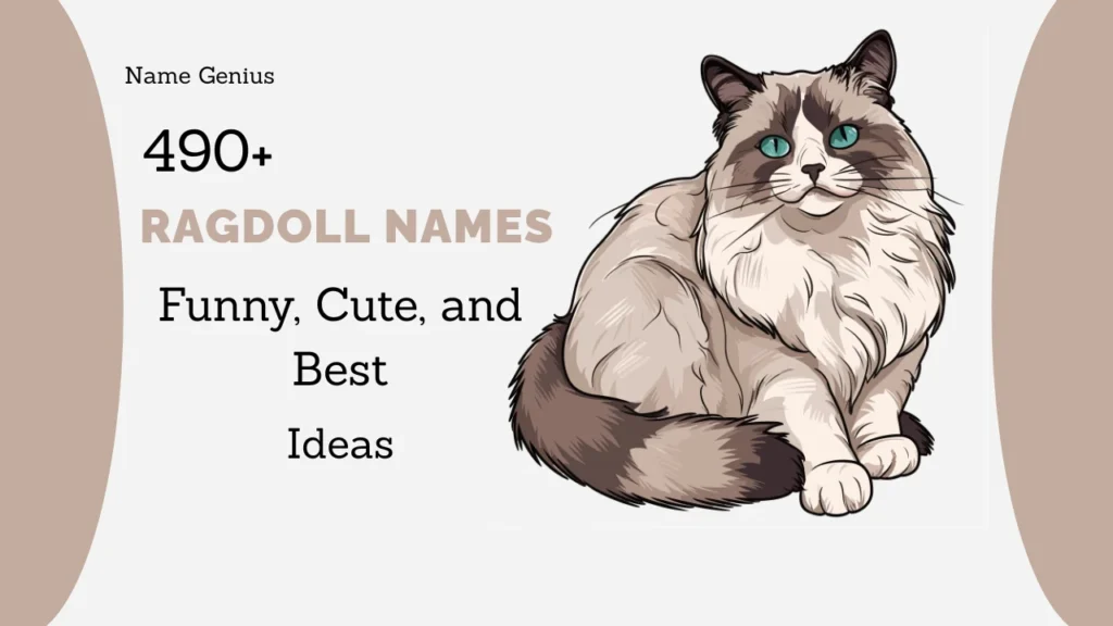 Ragdoll Names