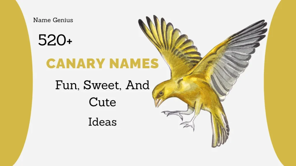Canary Names