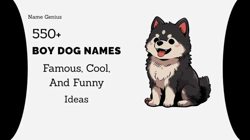 Boy Dog Names