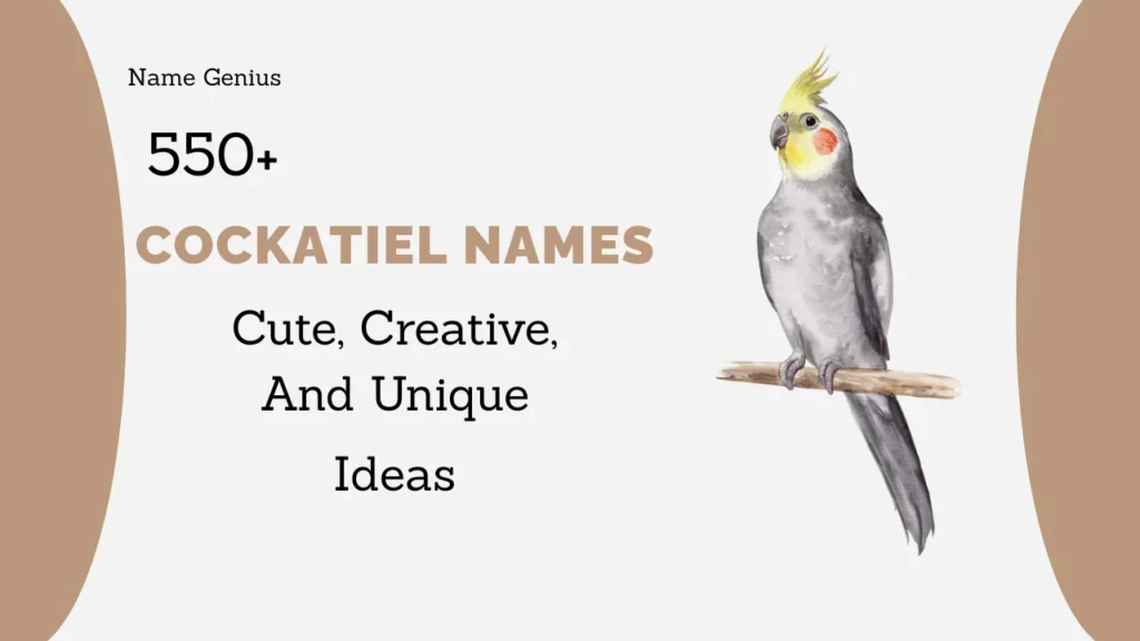 Cockatiel Names