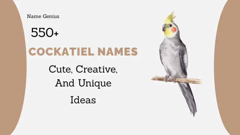 Cockatiel Names