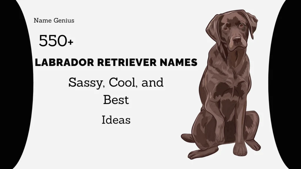 Labrador Retriever Names