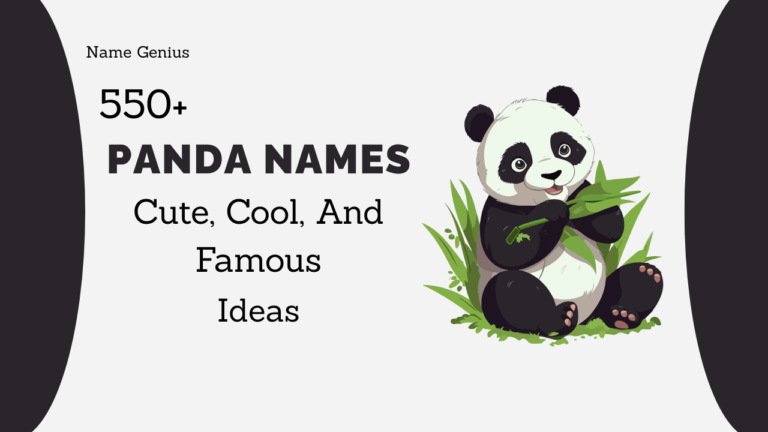 Panda Names