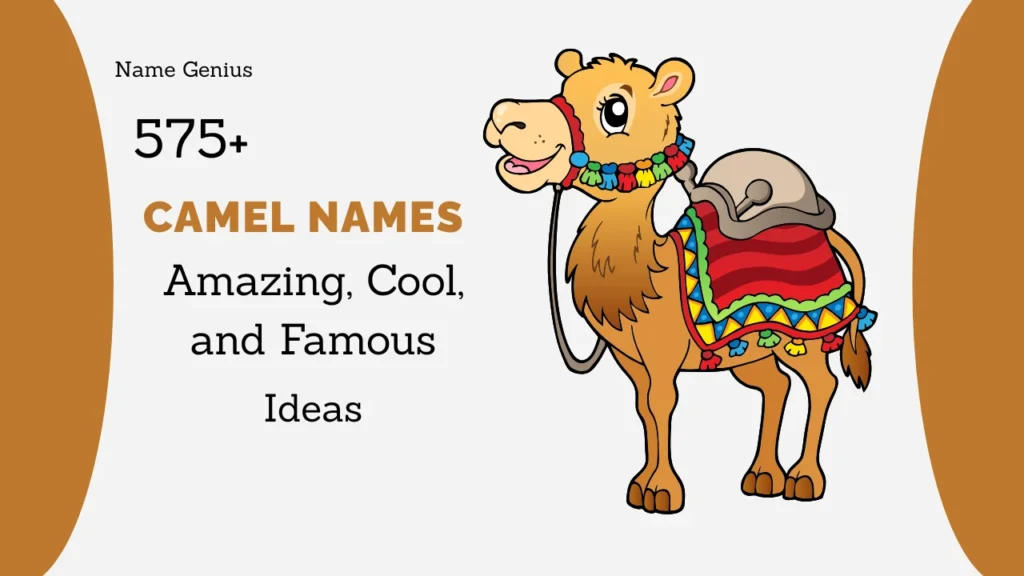Camel Names