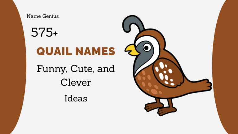 Quail Names
