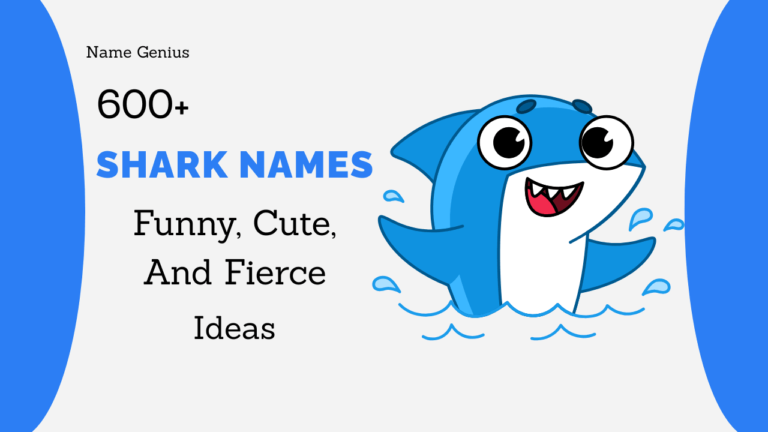 Shark Names