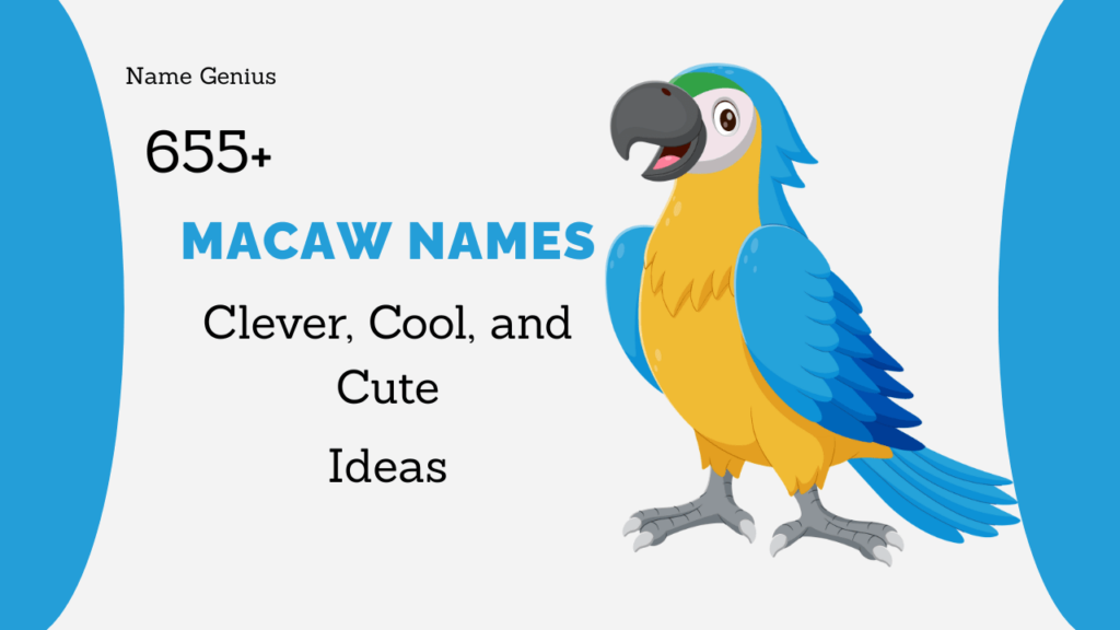 Macaw Names