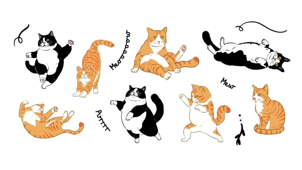 The current image has no alternative text. The file name is: Japanese-names-for-cats-.jpg