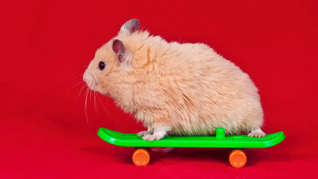 Female Hamster Names