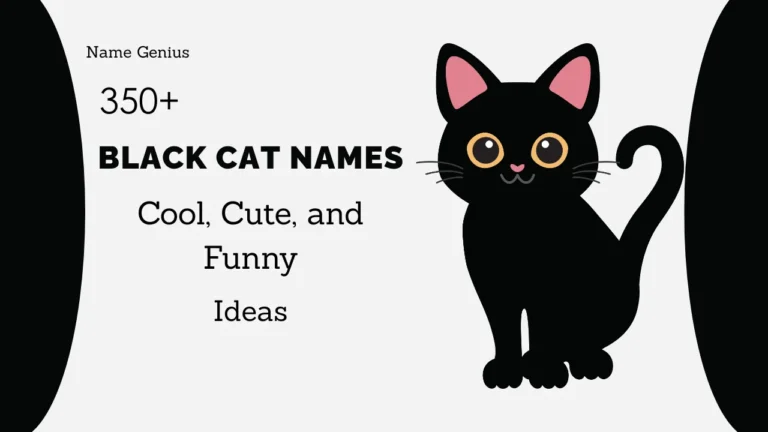 Black Cat Names