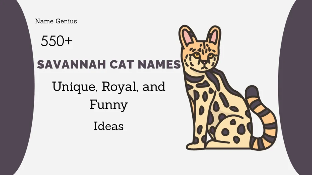 Savannah Cat Names