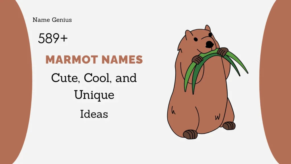 Marmot Names