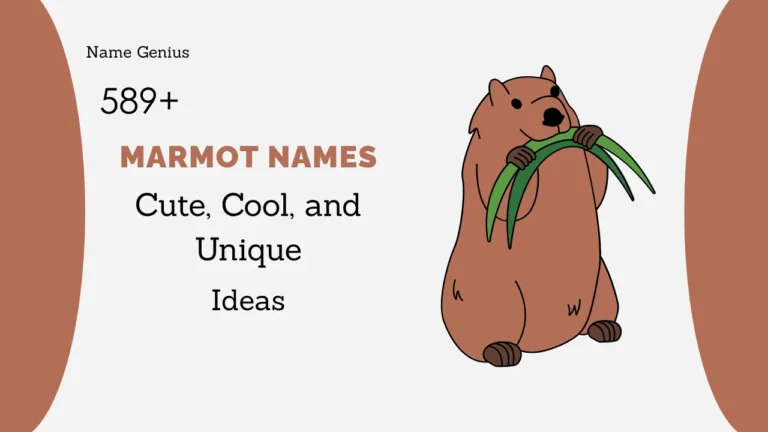Marmot Names