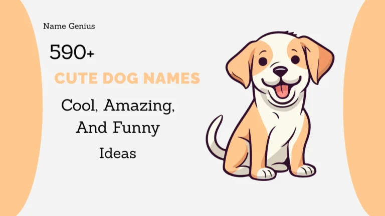 Cute Dog Names
