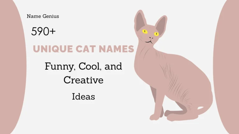 Unique Cat Names