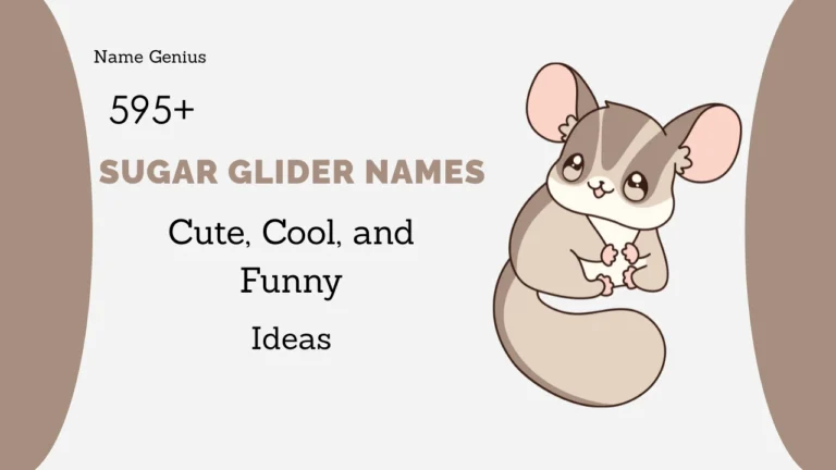 Sugar Glider Names