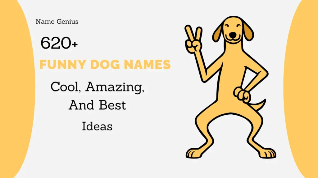 Funny Dog Names