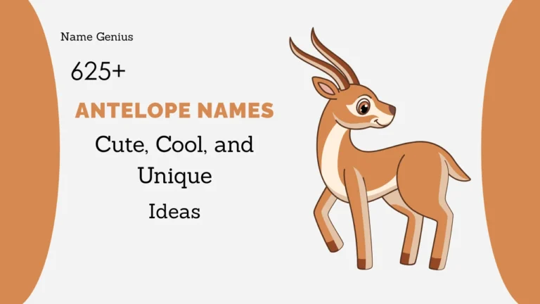 Antelope Names