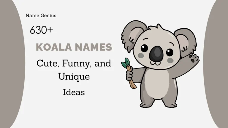 Koala Names