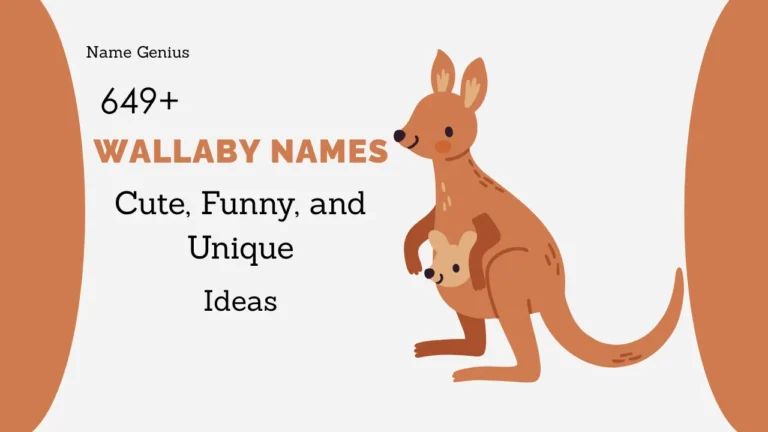 Wallaby Names