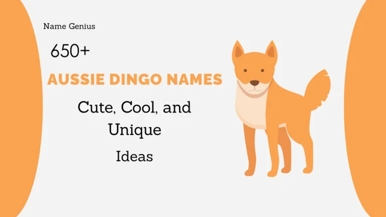 Aussie Dingo Names