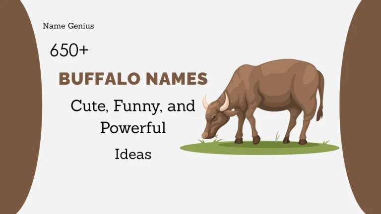 Buffalo Names
