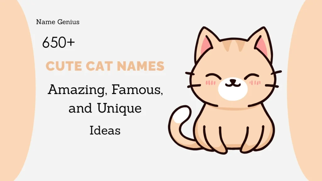Cute Cat Names