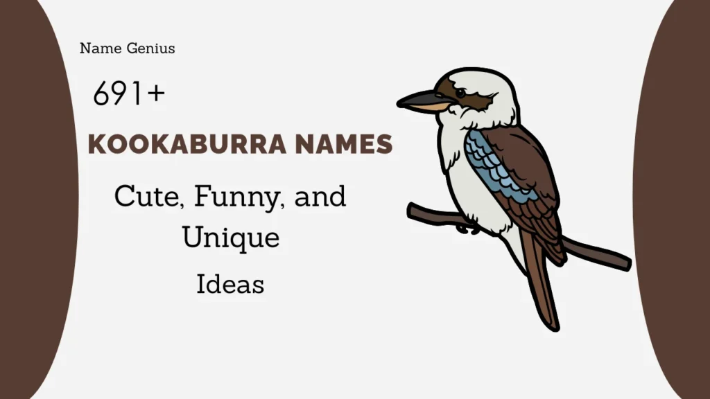 Kookaburra Names