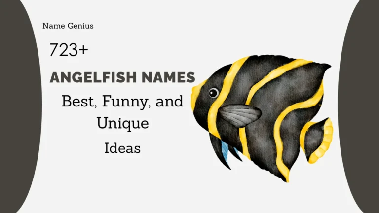 Angelfish Names