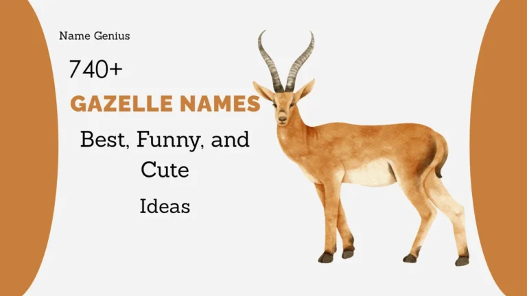 Gazelle Names