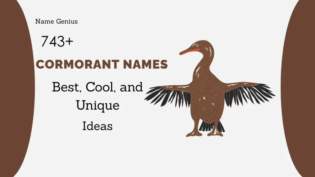Cormorant Names