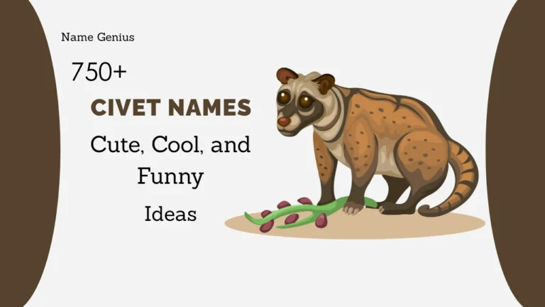 Civet Names