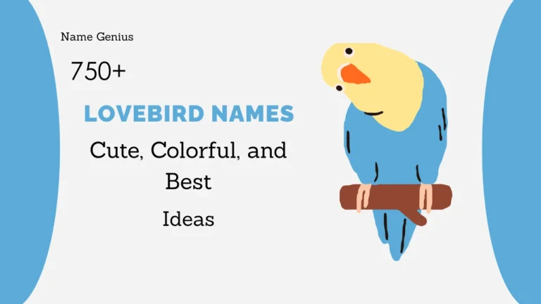 Lovebird Names